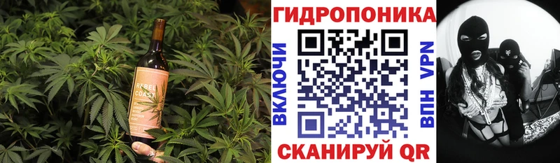купить закладку  Новотитаровская  Печенье с ТГК конопля 