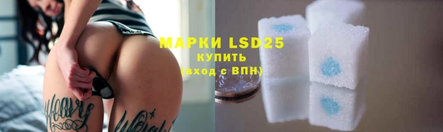 индика Новодвинск
