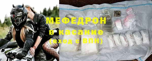 индика Новодвинск