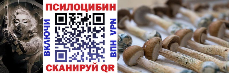 Псилоцибиновые грибы мицелий  Новотитаровская 